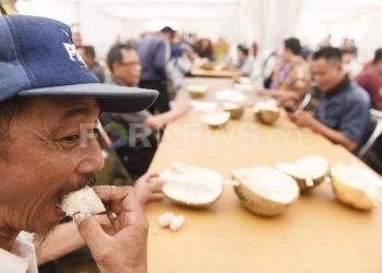 Seorang warga menikmati buah durian pada Festival Buah dan Pertanian Unggulan di Griya Agung Palembang. (matakamera/fornews.co/mushaful imam)