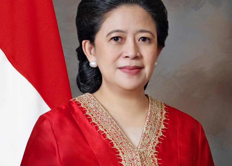 Ketua DPR RI Puan Maharani. Foto ist