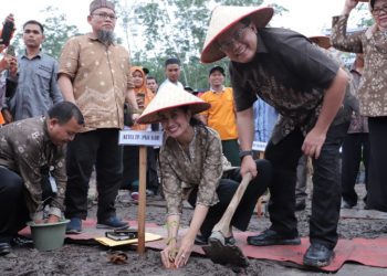 Ketua TP PKK Muba Erini Mutia Yufada bersama Bupati Muba Dodi Reza Alex melakukan penanaman gambir di Lahan Penanaman Perdana Gambir Desa Persiapan Toman Baru, Jumat (07/02). (humas pemkab muba)