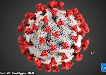 Ilustrasi CDC menunjukkan morfologi yang diperlihatkan oleh virus corona. Virus ini dinamai dengan paku protein yang memberikan penampilan corona di sekitarnya. (fornews.co/ist/DailyMail.com)