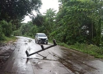 Kabel yang menjuntai di jalan antara Desa Lingkis dan Muara Batun, Kabupaten OKI karena tiang listrik ambruk akibat hujan deras dan angin kencang, Jumat (22/05) siang. (IST)