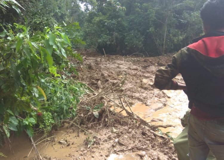Kondisi tanah longsor yang terjadi di OKU Selatan, Sumsel. Foto: Istimewa