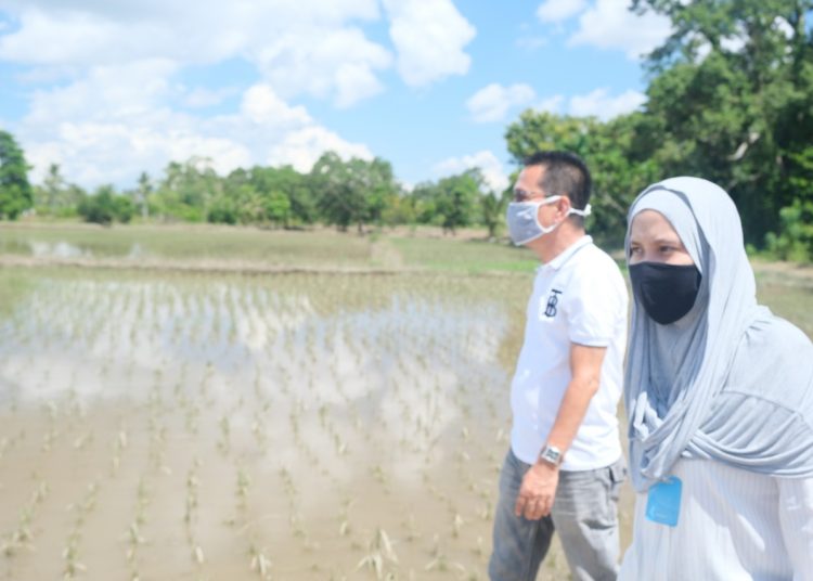 Anggota Komisi IV DPR RI, Riezky Aprilia saat mengunjungi areal persawahan Sungai Jejawi, Kelurahan Sei Selincah, Kecamatan Kalidoni, Palembang, Sabtu (13/6). (fornews.co/ist)