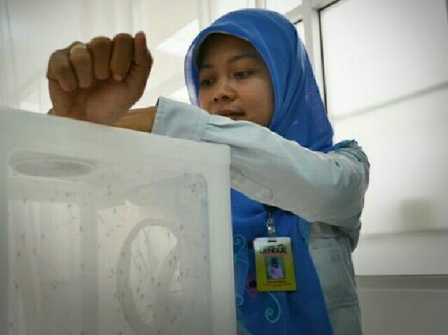 (foto humas ugm)
