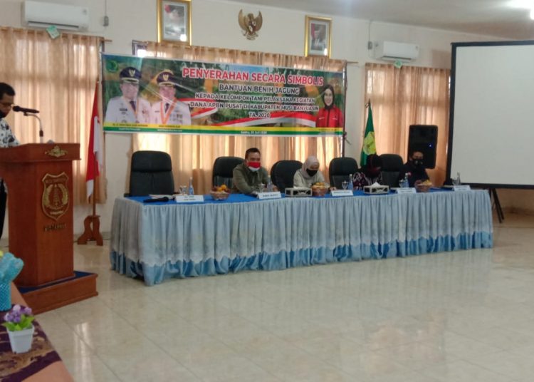 Suasana penyerahan secara simbolis bantuan benih jagung dari anggota Komisi IV DPR RI Riezky Aprilia untuk petani di Kabupaten Muba, Sabtu (25/07). (fornews.co/humas pemkab muba)