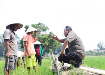 Bupati Muba Dodi Reza Alex berbincang santai dengan petani di Sekayu, Kamis (30/07). (fornews.co/humas pemkab muba)