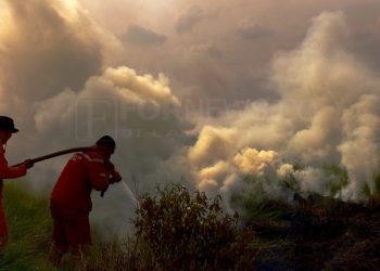 Pemadaman kebakaran lahan. (fornews.co / Mushaful Imam)