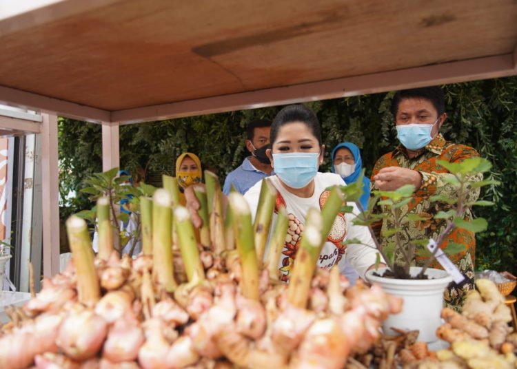 Ketua TP PKK Sumsel Febrita Lustia dan Gubernur Sumsel Herman Deru saat melihat rempah yang dipamerkan salah satu stan dalam Festival Rempah Sumsel 2020 di halaman Griya Agung Palembang, Sabtu (24/10). (fornews.co/humas provinsi sumsel)