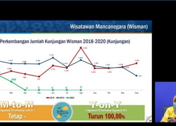 Tangkapan layar paparan perkembangan sektor pariwisata dari BPS Sumsel dipantau secara virtual.(fornews.co/ist)