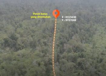 Salah satu titik jalan angkut tambang batubara yang terdeteksi melintasi hutan alam dataran rendah tersisa di perbatasan Sumsel-Jambi. (fornews.co/ist)