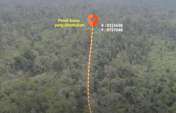 Salah satu titik jalan angkut tambang batubara yang terdeteksi melintasi hutan alam dataran rendah tersisa di perbatasan Sumsel-Jambi. (fornews.co/ist)