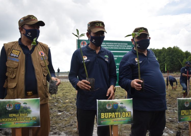 Kegiatan penanaman mangrove di Kecamatan Tulung Selapan, Kabupaten Ogan Komering Ilir (OKI), Sumsel. (Diskominfo OKI)