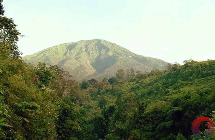 Pendakian ke Gunung Dempo, Pagaralam ditutup untuk sementara mulai 30 Desember sampai dengan 3 Januari 2021. (fornews.co/sidratul muntaha)