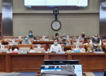 Menteri Kesehatan Terawan Agus Putranto pada Rapat Kerja dengan Komisi IX DPR RI, Kamis (10/12). (fornews.co/bkpm kemenkes)