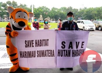 "Harimau Sumatra" ikut dalam aksi unjuk rasa di kantor gubernur Sumsel, Senin (14/12), untuk menolak pembangunan jalan angkut batu bara yang melintas di Hutan Harapan. (fornews.co/mushaful imam)