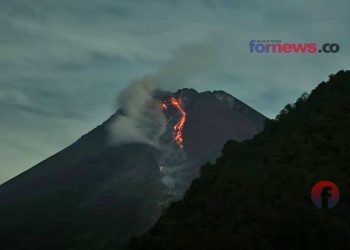 AWAN PANAS dan guguran lava pijar Gunung Merapi terjadi pukul 05:12 dan 05:35 WIB, Rabu (20/1/2021). (foto fornews.co)