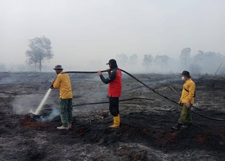 Tim Gabungan Terpadu padamkan kebakaran hutan di SM Giam Siak Kecil, Riau, Selasa (23/2). (Foto: KSDAE MenLHK)