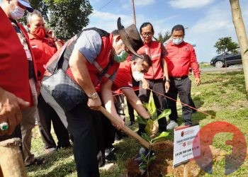 Sekretaris DPD PDI Perjuangan Sumsel Ilyas Panji Alam menanam bibit pohon nangka di kawasan Jakabaring Sport City (JSC) menandai penanaman 48.000 pohon di wilayah Sumsel, Minggu (21/2/2021). (fornews.co/iwan setiawan)