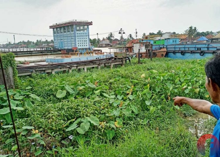 Warga di Lorong Patria menunjukkan bagaimana kondisi aliran Sungai Keramasan di pemukiman mereka sudah di tumbuhi semak belukar dan sampah, lantaran terhalang dua tongkang milik PT PLN Sektor Pembangkit Keramasan, Rabu (17/2/2021). (fornews.co/sidratul muntaha)