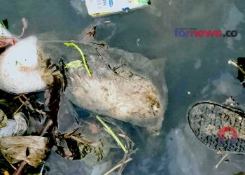 IKAN terjebak di kantong plastik akibat saluran air dipenuhi sampah. (foto fornews.co/fuu erro angler nekaterz)