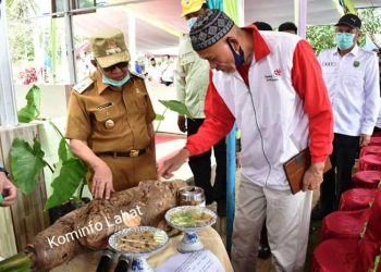 Wakil Bupati Lahat Haryanto melihat buah talas beneng hasil budi daya pada penanaman perdana talas beneng di Desa Penantian, Kecamatan Jarai, Selasa (30/3/2021). (fornews.co/kominfo lahat)