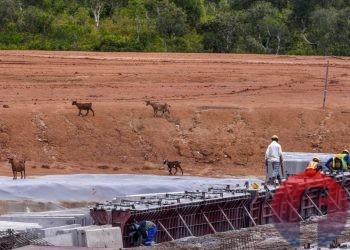 Kambing ternak warga melintas di dekat pekerja yang sedang menyelesaikan pengerjaan pembangunan proyek Jalan Tol Trans Sumatra Zona 1 di Desa Palem Raya Kecamatan Indralaya Utara, Kabupaten Ogan Ilir, Provinsi Sumatra Selatan. Foto diabadikan di jalan tol ruas Indralaya - Prabumulih sepanjang 64,8 kilometer yang merupakan rangkaian JTTS koridor Palembang - Bengkulu, Rabu (17/3/2021). (matakamera/fornews.co/mushaful imam)