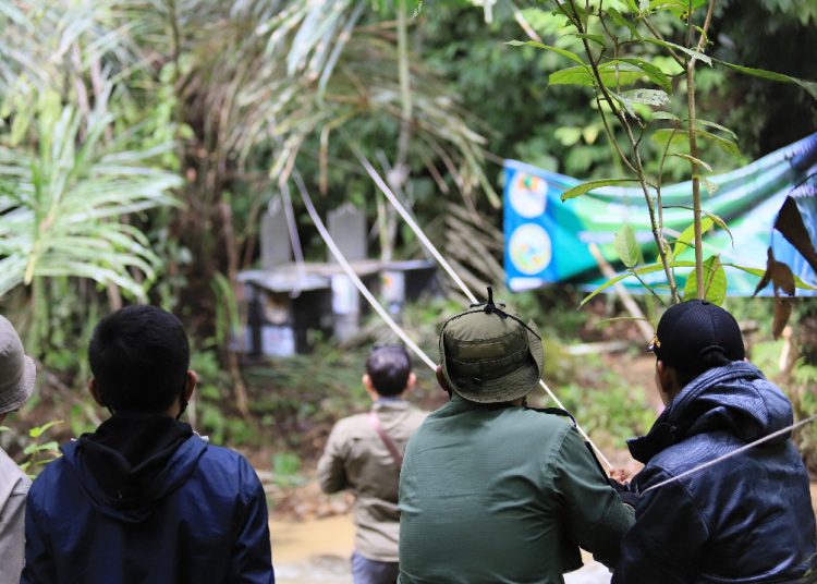 di kawasan Taman Nasional Kerinci Seblat, Kabupaten Kerinci menjadi lokasi pelepasliaran 3 beruang madu. (Foto: istimewa/Humas Balai KSDA Jambi)