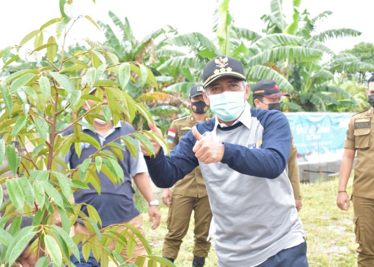 Penanaman pohon menjadi cara Bupati OKI Iskandar memperingati Hari Air Sedunia 22 Maret 2021. (fornews.co/istimewa/Kominfo OKI)