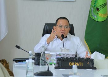 Bupati Muba, Dodi Reza Alex saat menjadi narasumber pada Musi Banyuasin Environment Webinar Forum 2021 secara virtual, Senin (28/6/2021). (fornews.co/humas pemkab muba)