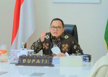 Bupati Muba, Dodi Reza Alex saat memaparkan inovasi pelayanan publik Sirine Muba, dihadapan tim panel independent, secara virtual di Guest House Griya Bumi Serasan Sekate, Jumat (2/7/2021). (fornews.co/humas pemkab muba)