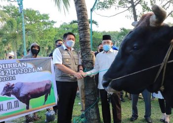 Gubernur Sumsel Herman Deru saat memberikan seekor sapi kurban ke salah satu masjid di Palembang, Senin (19/7/2021). (fornews.co/humas pemprov sumsel)