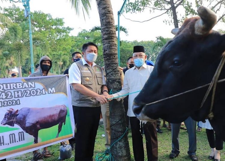 Gubernur Sumsel Herman Deru saat memberikan seekor sapi kurban ke salah satu masjid di Palembang, Senin (19/7/2021). (fornews.co/humas pemprov sumsel)