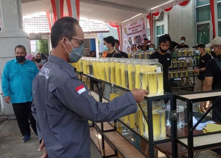 SEBANYAK 305 ekor ikan cupang aduan, liar dan hias, tampil dalam perlombaan yang diselenggarakan oleh pecinta ikan cupang Betta Team. (foto fornews.co/pemkab muba)