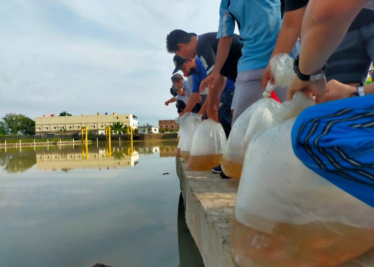 Dinas Perikanan Muba bersama unsur Forkompimda siap-siap menebar 40 ribu benih ikan nila merah dan lele albino di Taman Air Serasan Sekate, Sekayu, Sabtu (30/10/2021). (fornews.co/humas pemkab muba)