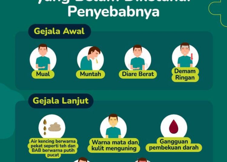 Grafis gejala Hepatitis Akut dari Dinas Kesehatan Muba. (fornews.co/ist)