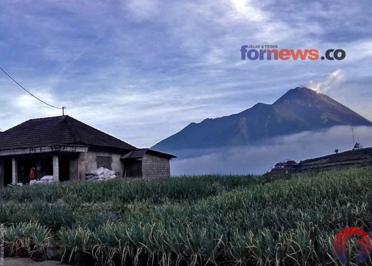 GUNUNG Merapi di perbatasan Daerah Istimewa Yogyakarta (DIY) dan Jawa Tengah, terlihat jalur pendakian dari jalur Selo. (foto fornews.co/adam)