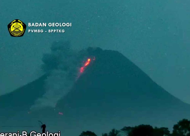 LAVA pijar dan awan panas keluar dari puncak Merapi pada Jum'at (17/3/2023) setelah Kamis (16/3/2023) sempat tidak memperlihatkan aktivitas erupsi. (foto fornews.co/badan geologi)
