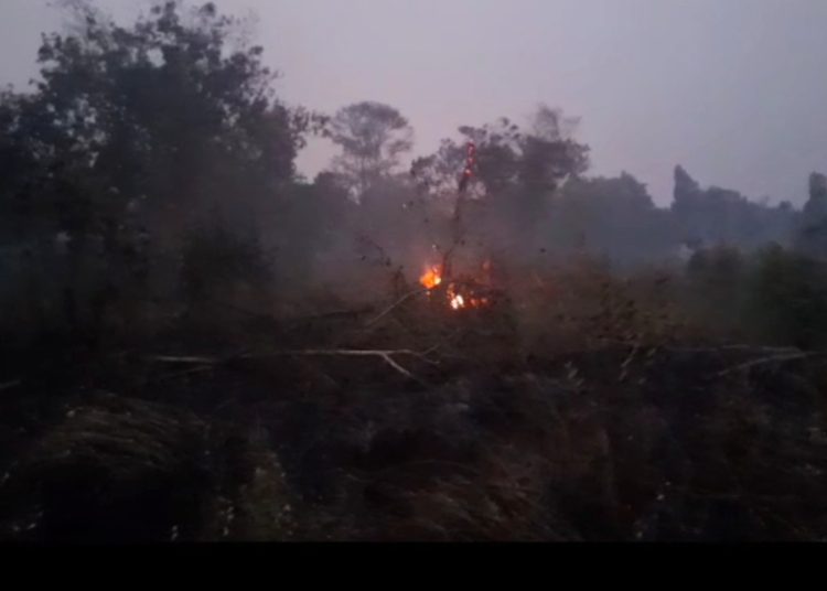 Lahan gambut yang terus terbakar Tampak di RT 03 Jalan Kampung Serang Kelurahan Karya Mulya, Kecamatan Sematan Borang, Rabu (27/9/2023) malam. (fornews.co/ist)