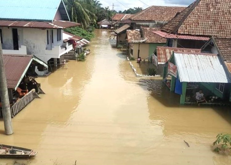 Kondisi di Desa Lesung Batu Muda, Kecamatan Rawas Ulu, yang terendam banjir, Kamis (11/1/2024). (fornews.co/tagana muratara)