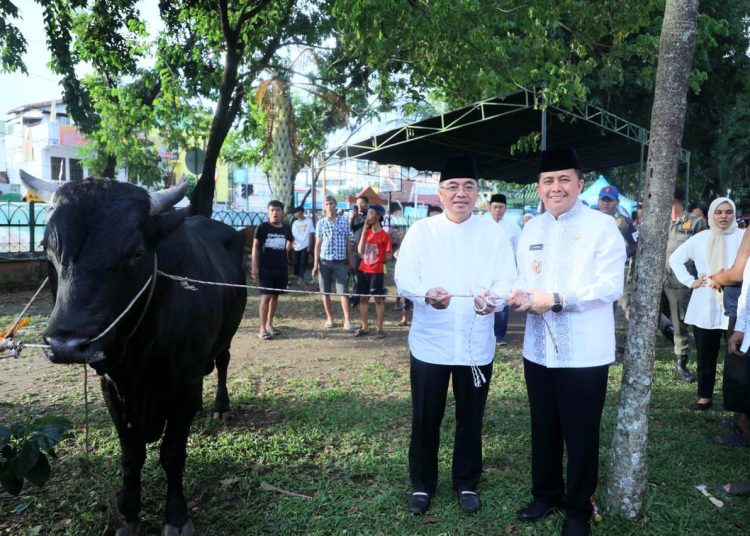 Pj Gubernur Sumsel, Agus Fatoni, saat menyerahkan bantuan sapi pada, Gerakan Kurban Serentak se-Sumsel di Masjid Agung Sultan Mahmud Badaruddin Jayo Wikramo Palembang, Minggu (16/6/2024). (fornews.co/ist)