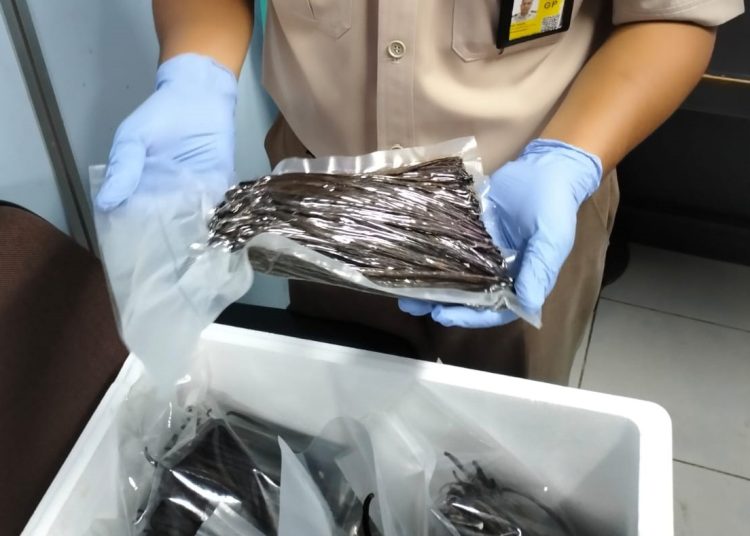 Petugas Barantin melalui Balai Karantina Sumsel memperlihatkan vanili kering asal Sumsel yang hendak diekspor ke Prancis, Minggu (7/7/2024). (fornews.co/ist)
