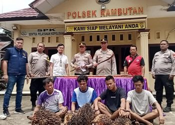 Empat pencuri buah kelapa sawit bersama barang bukti saat dihadapkan pada rilis oleh Kapolsek Rambutan, AKP Ledi didampingi Kanit Reskrim, Iptu Khadafi, di Mapolsek Rambutan, Banyuasin, Selasa (11/2/2025). (fornews.co/ist)