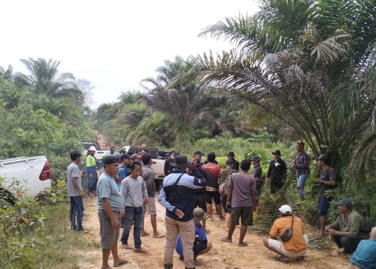 Karyawan PT SKB tengah berjaga-jaga setelah tanaman kelapa sawit di lahan SKB yang dilakukan pengrusakan oleh oknum-oknum yang tak bertanggung jawab, beberapa waktu lalu. (fornews.co/ist)