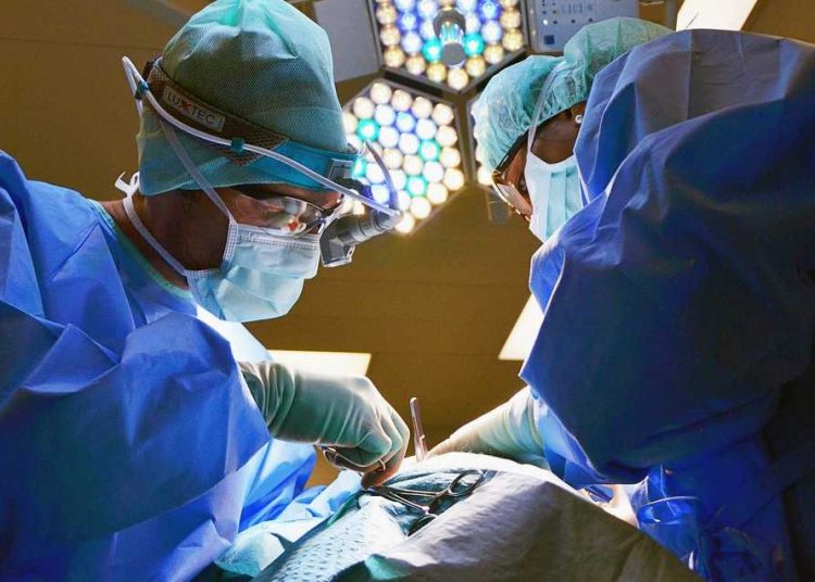 ILUSTRASI (foto fornews.co/pixabay/marionbrun)