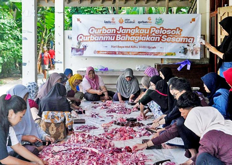 QURBAN Jangkau Pelosok, mahasiswa UAD bersama warga Banjarharjo, Kapanewon Kalibawang, Kabupaten Kulon Progo, DIY, bergotong-royong memilah daging kurban yang akan dibagikan ke masyarakat penerima manfaat, pekan lalu, Ahad, 8 Juni 2025. (foto fornews.co/lazismu diy)