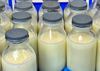 SUSU. (foto fornews.co/bgn)