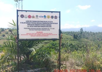 Satgas PKH resmi memasang plang persahabatan di areal kebun sawit ilegal yang dikelola oleh Toton di Blok 2, wilayah Bentang Alam Bukit Tigapuluh, Sabtu (5/7/2025). (fornews.co/ist)