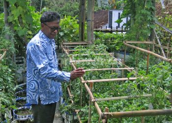 SHOLEHUDDIN menunjukkan kebun sayurnya di lantai atas rumahnya di Padukuhan Grubug, Nanggulan, Kulon Progo, DIY, Ahad, 16 November 2025. (foto fornews.co/adam)