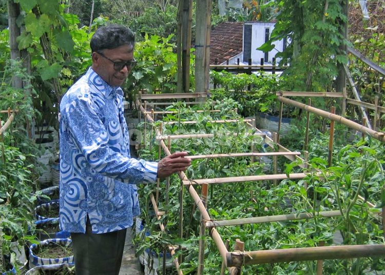 SHOLEHUDDIN menunjukkan kebun sayurnya di lantai atas rumahnya di Padukuhan Grubug, Nanggulan, Kulon Progo, DIY, Ahad, 16 November 2025. (foto fornews.co/adam)