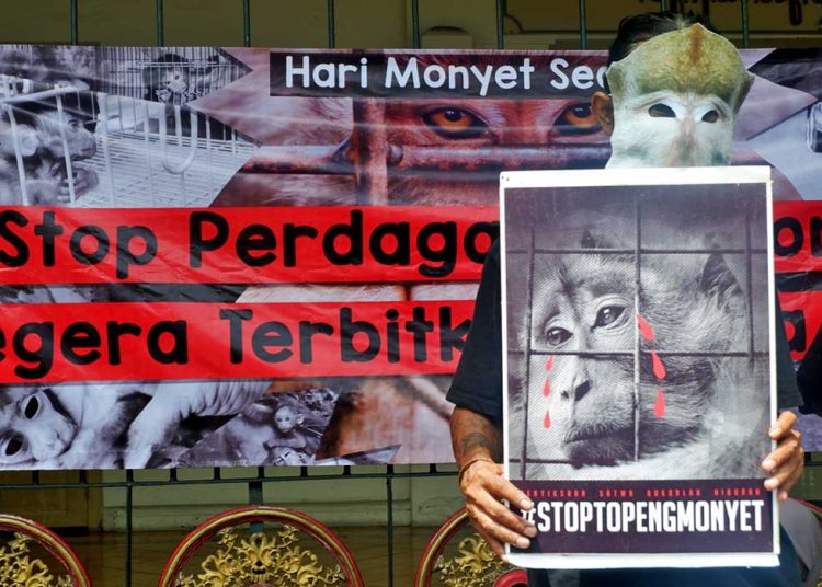 AKSI Peduli Monyet oleh Animal Friends Jogja (AFJ) di kawasan Titik Nol Kilometer itu melibatkan aktivis dan unsur masyarakat sipil, Ahad, 14 Desember 2025. (foto fornews.co/afj)